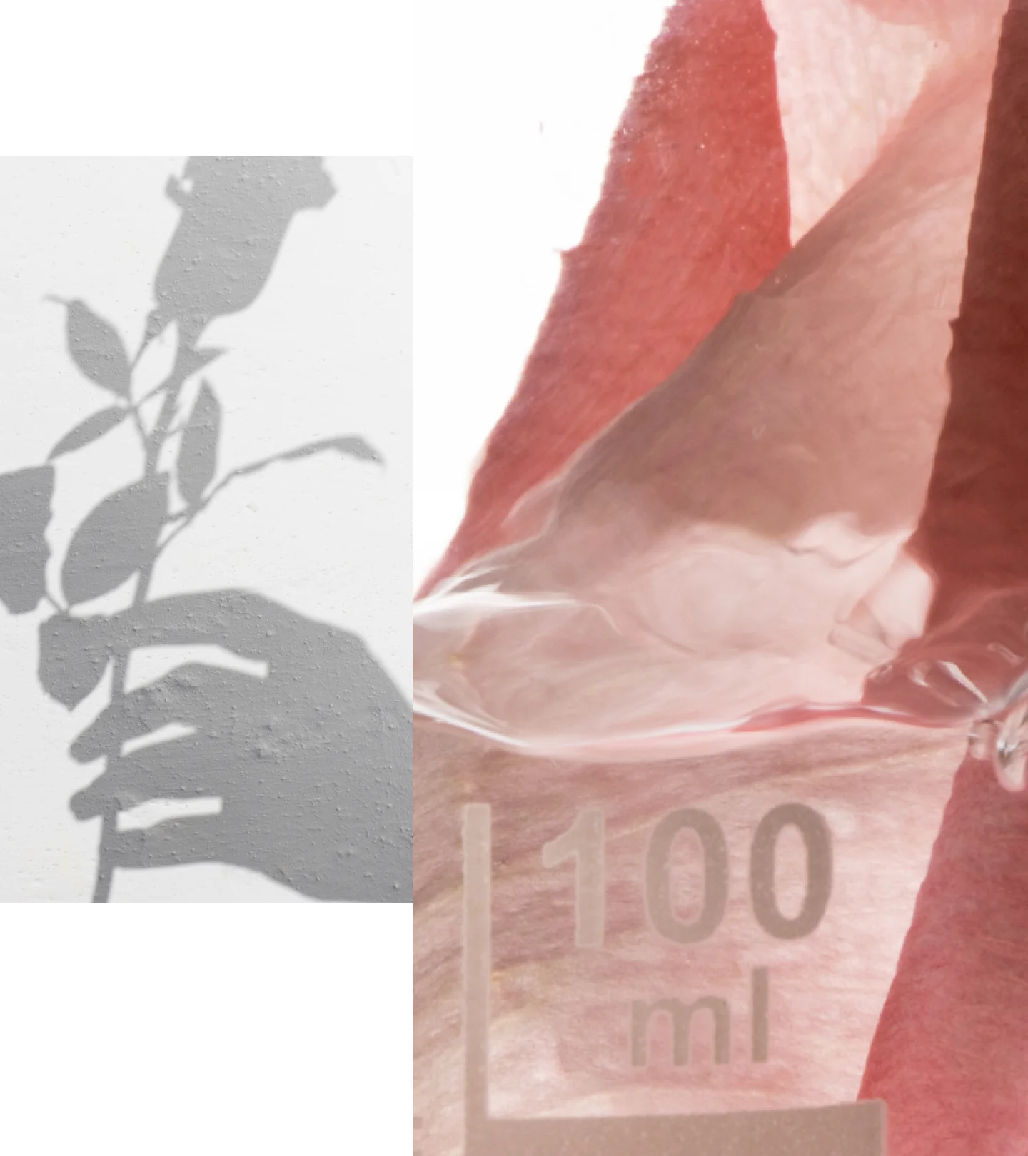 Apothecary Wild Rose 15% Vitamin C Spotless Serum - Image 4