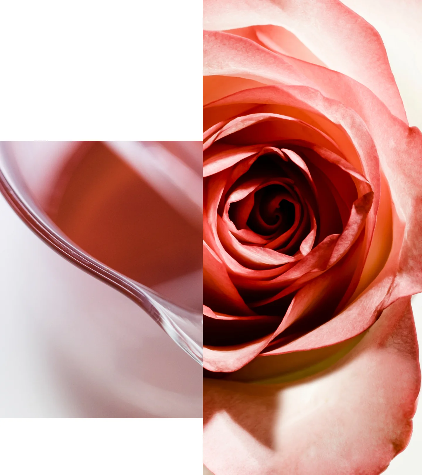 Apothecary Wild Rose Brightening Sleeping Facial - Image 5