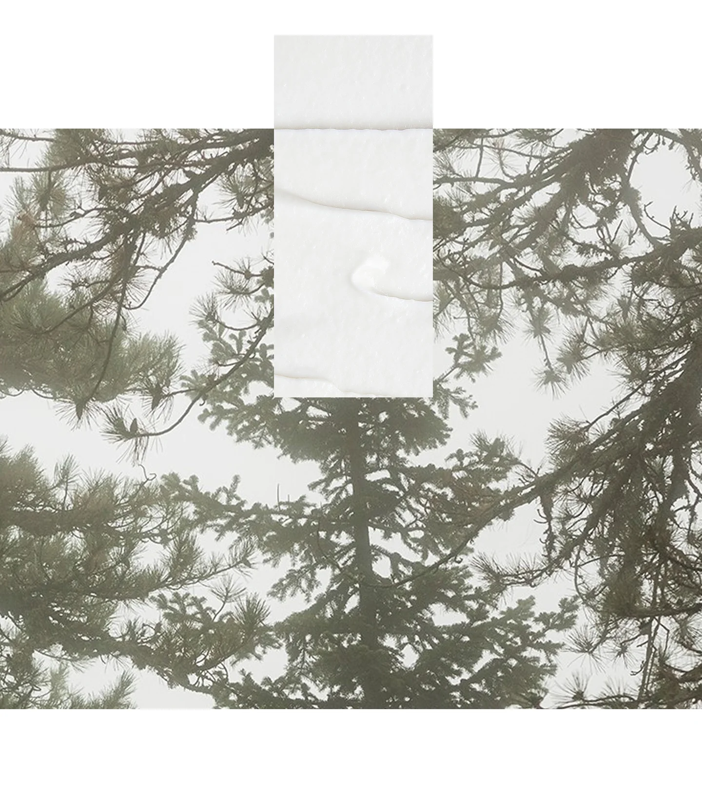 Black Pine 360° Eye-Lift Super Serum - Image 5