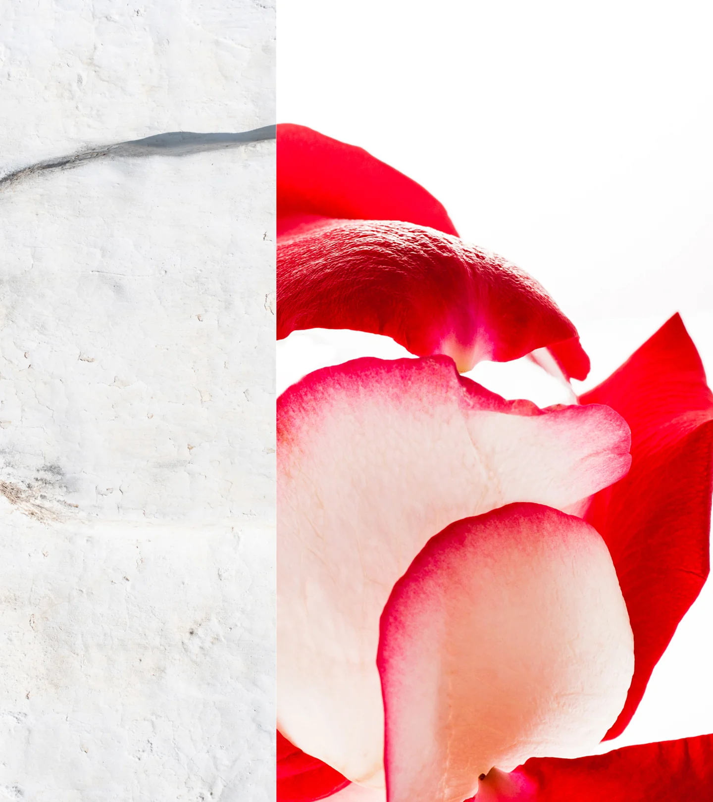 Brightening + Dark Spot Routine ($176 Value) - Image 3