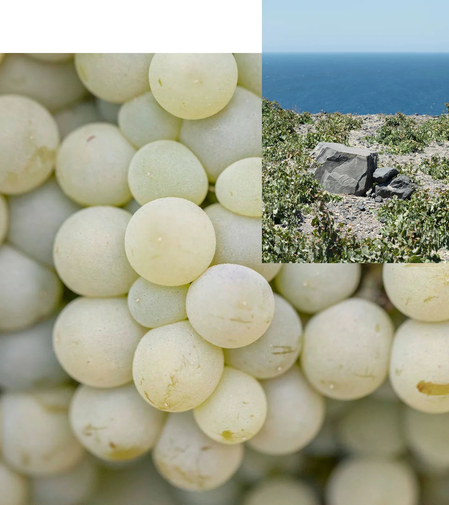 Santorini Grape Velvet Skin Drink - Image 5